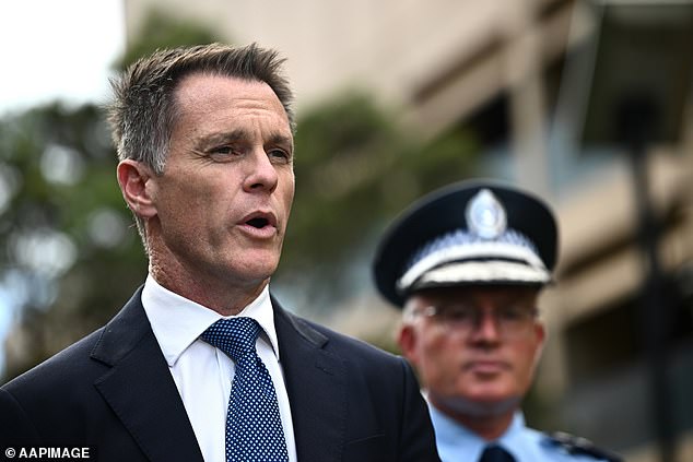 El primer ministro laborista Chris Minnes rompe filas para arremeter contra el gobierno de Anthony Albanese