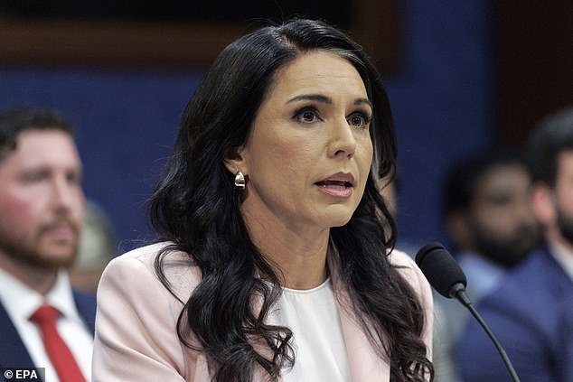 El salvaje viaje de Tulasi Gabbard de estrella demócrata a principal espía de Trump… Antes de ser congelada, el espionaje de su propia CIA provoca una crisis para el candidato de 2028