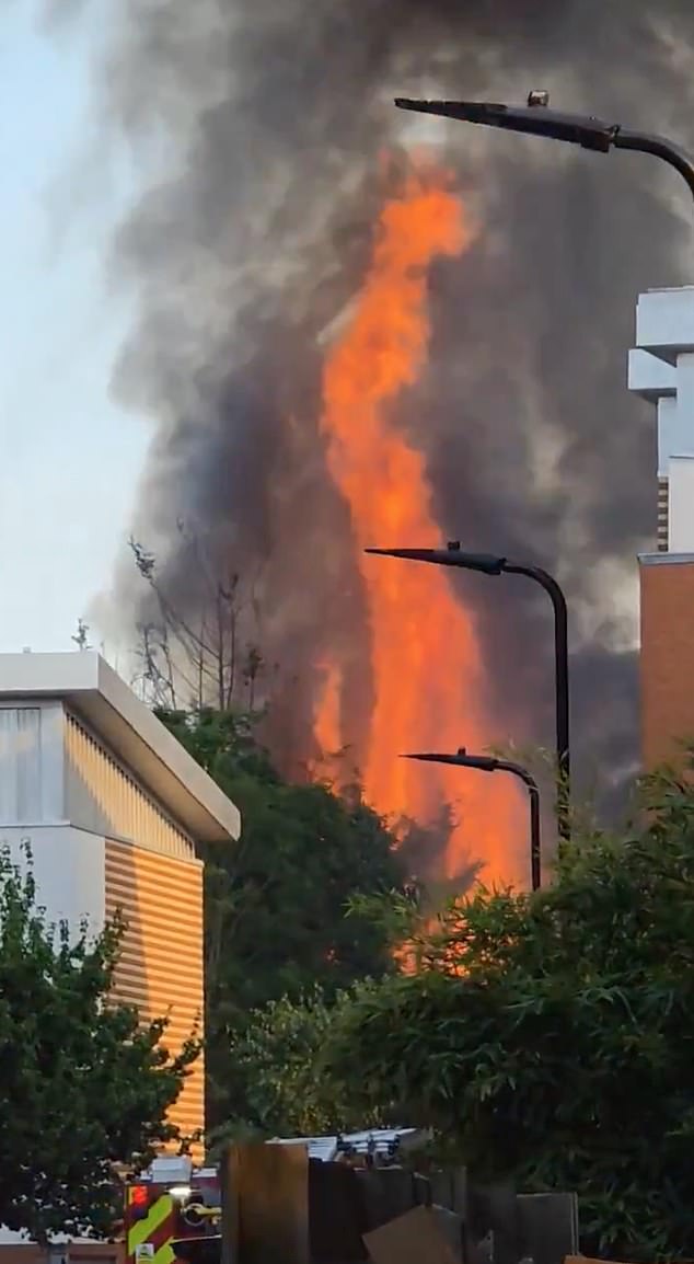 Coches y caravanas destruidos: dos líneas ferroviarias de Londres fuera de servicio debido a un incendio