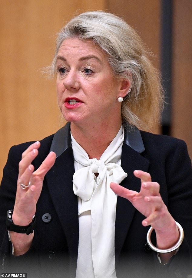 La senadora nacional Bridget McKenzie está usando su dinero para ir a otra fiesta familiar