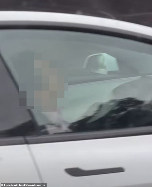 SYDNEY: Un hombre profundamente dormido al volante de un Tesla fue filmado mientras circulaba por la autopista M2, mientras el conductor frenético comenzaba a tocar la bocina.