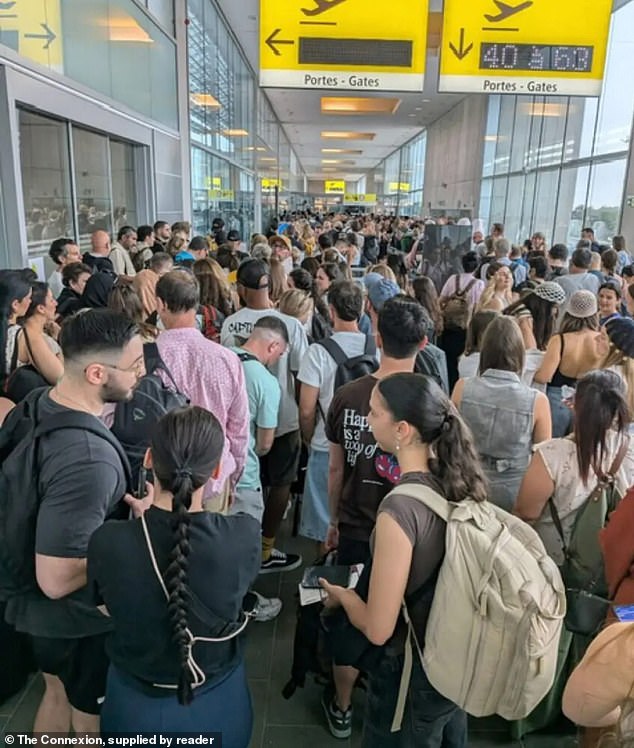 Se ha advertido a los británicos que podrían enfrentar esperas de hasta seis horas en los aeropuertos debido a los controles fronterizos de la UE a medida que aumentan los temores de un caos en los viajes de verano.