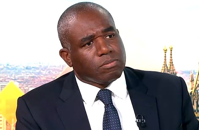 David Lammy ha revelado que habló con JD Vance para decirle que estaba “equivocado” en el caso de Henry Novak después de que el vicepresidente de Estados Unidos culpara en parte al vicepresidente de Estados Unidos de una “invasión masiva de inmigrantes”.