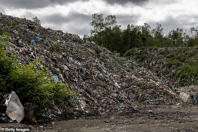 Reform UK hará que Gran Bretaña vuelva a ser hermosa con multas más severas y una importante campaña contra los vertidos de moscas y basura, incluido un día de acción nacional en el que los parlamentarios liderarán las limpiezas locales.