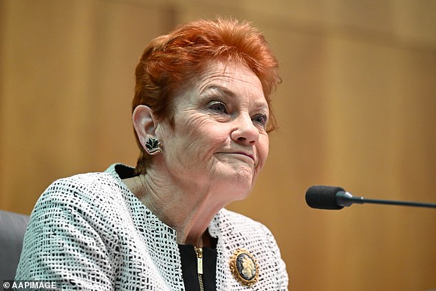 Pauline Hanson ha vuelto a plantear preguntas sobre la doble ciudadanía de Fatima Payman al rechazar los pedidos de una investigación sobre el miembro de One Nation.