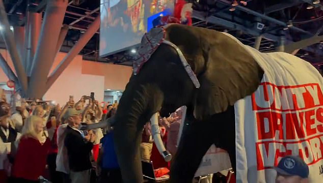El momento en que un elefante trajo toda la sala de PES después de marchar entre la multitud hacia la Convención Republicana de Texas