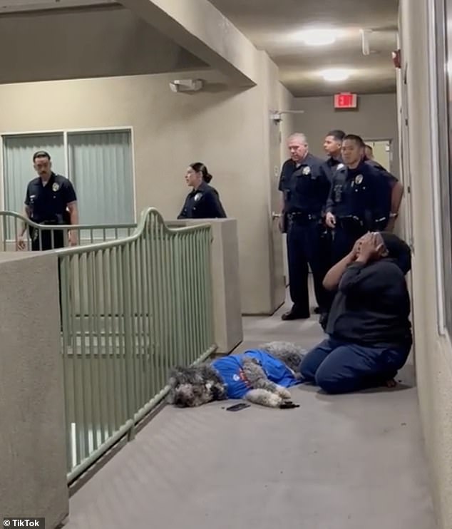 El adorable perro de una mujer fue asesinado a tiros cuando la policía de Los Ángeles investigó una denuncia por ruido después de una victoria de los Knicks.