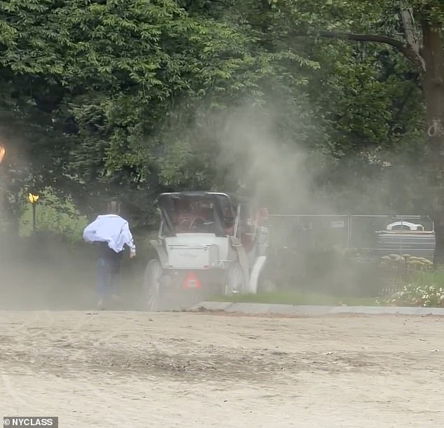 Un turista ADOLESCENTE muere después de que el caballo del carruaje se escapara del conductor en Central Park, imágenes horribles muestran el momento en que el autocar se voltea
