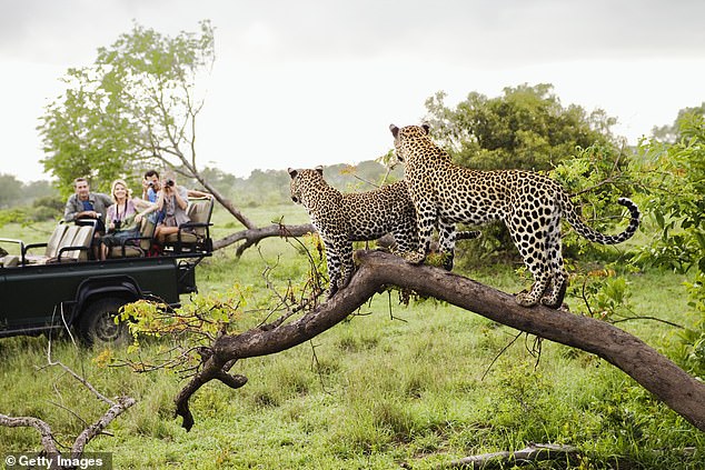Turista asesinado a tiros después de que el arma de un guía se disparara accidentalmente al final de un safari por Sudáfrica