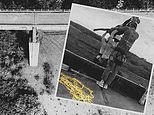 Cuatro errores que llevaron a la tragedia del bungee en el puente esqueleto: FRED KELLY vio la escena de primera mano y ahora está repasando los antecedentes del desastre. ¿Pero es realmente un riesgo?