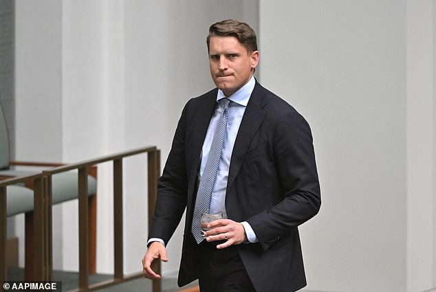 Los ojos de la nación están puestos en Pauline Hanson. Pero la semana pasada Andrew Hastie hizo un gran movimiento de liderazgo: Peter van Onselen