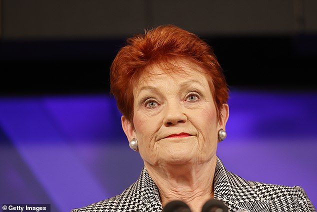 Las opiniones de Pauline Hanson sobre la licencia parental remunerada han dividido a Internet, ya que la ex propietaria de una tienda de pescado y patatas fritas argumentó que estaba frenando a las pequeñas empresas.