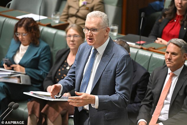 A una novia prohibida por ISIS se le permitió regresar a Australia, Tony Burke reveló que le dieron el visto bueno