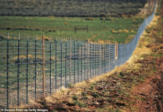 Los lugareños exigen que un empresario petrolero multimillonario derribe su cerca de alambre de púas de 20 millas que daña a los ciervos y alces en su rancho de Colorado.