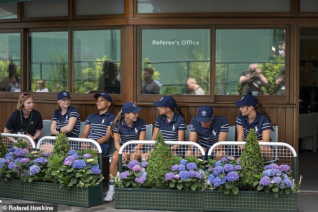 Las espectaculares hortensias de Wimbledon están amenazadas por olas de calor extremas, y las flores tradicionales han sido reemplazadas por rivales resistentes a la sequía.