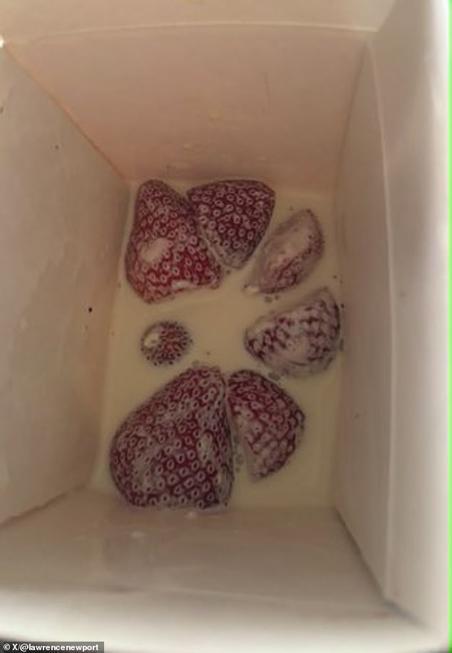 Los fanáticos del tenis están molestos después de que les sirvieran fresas con crema ‘decepcionantes’ en Wimbledon