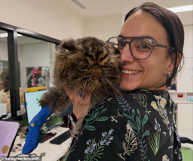 Una advertencia veterinaria que todo dueño de una mascota debería leer después de que un gato sobreviviera milagrosamente cuatro horas en una secadora