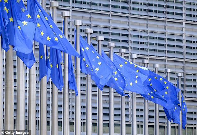 Los ministros instan a Bruselas a flexibilizar las normas fronterizas posteriores al Brexit en medio de la creciente preocupación por el caos en los viajes durante las vacaciones de verano