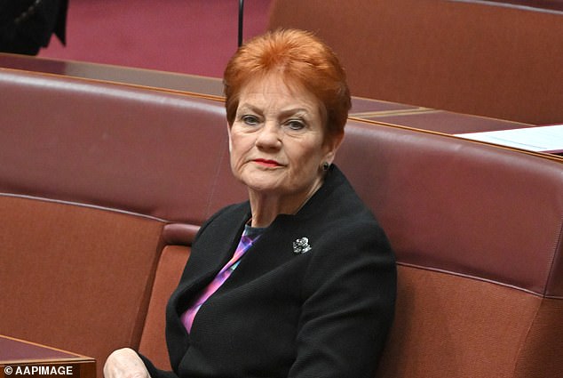 Pauline Hanson acusa a Anthony Albanese de un importante doble rasero tras un acuerdo histórico con la India: “No tiene sentido”