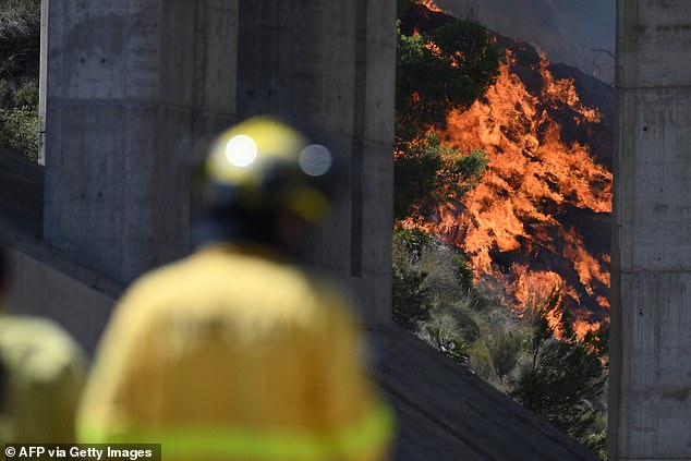 Un británico atrapado en los incendios forestales en España hace una última y desgarradora llamada telefónica a su esposa mientras su auto se incendia; las autoridades se apresuran a identificar a las víctimas