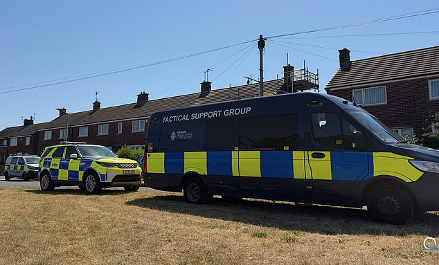 La policía registra la casa en Rotherham del hombre arrestado por el asesinato de Ann Widdecombe; los vecinos dicen que los agentes acordonaron la propiedad una hora antes del partido de cuartos de final de la Copa Mundial de Inglaterra