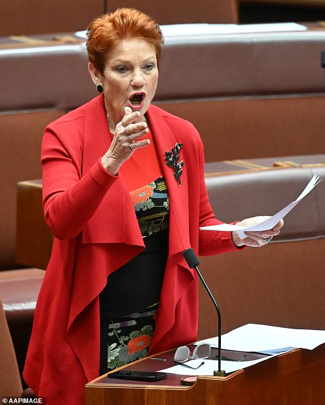 El apoyo a Pauline Hanson se desploma en una nueva encuesta impactante