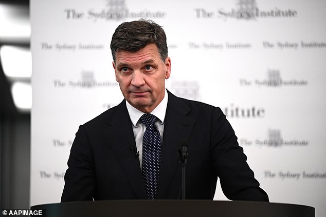 Angus Taylor critica a los jefes de cricket por ‘moralizar al despertar’ después de afirmar que el himno nacional podría archivarse para el Día de Australia