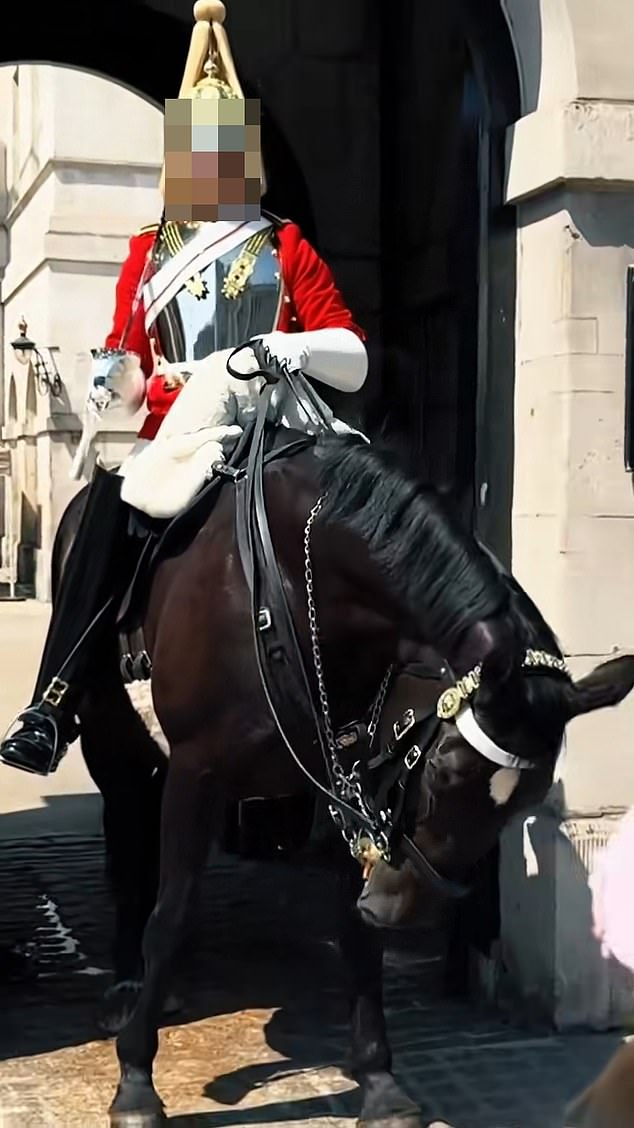 Un caballo de la Guardia del Rey se desmaya con un calor de casi 30°C justo cuando el soldado se ve obligado a dar la alarma de emergencia.