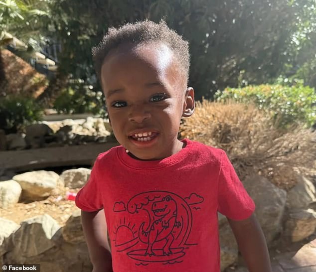 Un niño pequeño que vivió en hogares de acogida durante los primeros nueve meses de su vida se enfrenta a un destino horrible después de ser devuelto a su madre biológica.