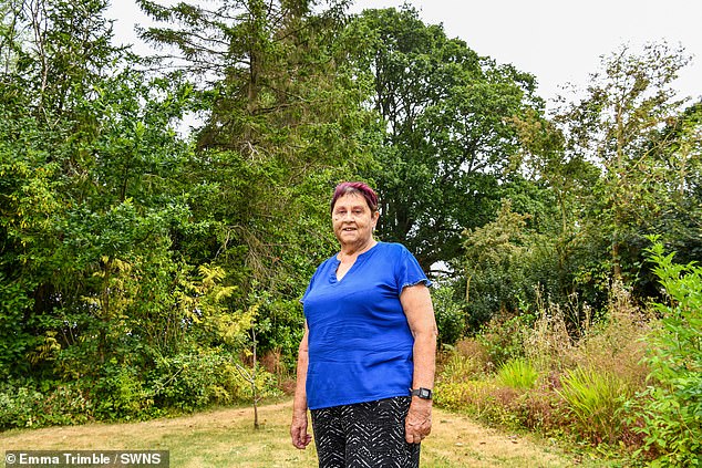Una viuda de 79 años se ha negado a vender parte de su jardín a los promotores detrás de una nueva carretera valorada en £45 millones mientras lucha por salvar un roble de 500 años en una batalla entre David y Goliat.