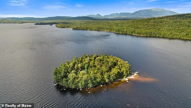 Esta isla privada en Maine con cabaña está a la venta a un precio sorprendentemente bajo