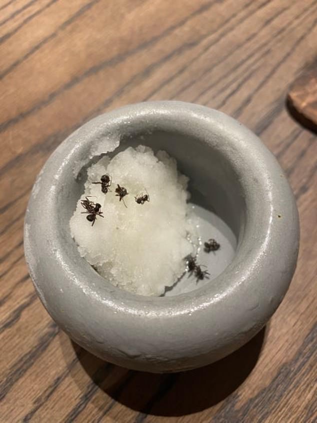 Un célebre chef con estrella Michelin se enfrenta a la cárcel por salpicar el postre con hormigas