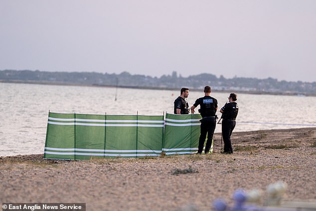 Una adolescente y una mujer de unos 40 años murieron después de que varias personas se metieran en problemas en una playa de Essex.