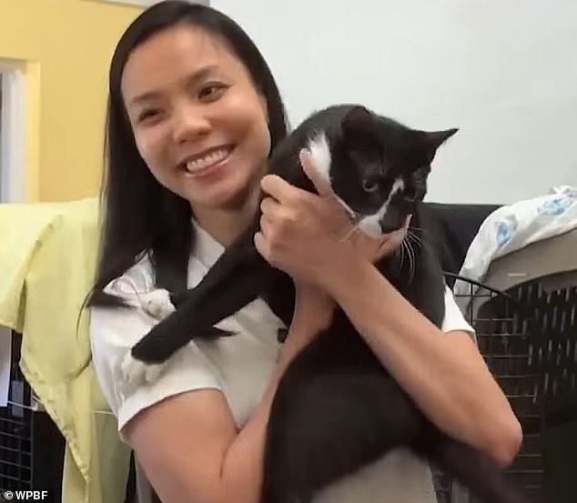 Mujer de Florida se reencontró emocionalmente con su gato después de siete meses.