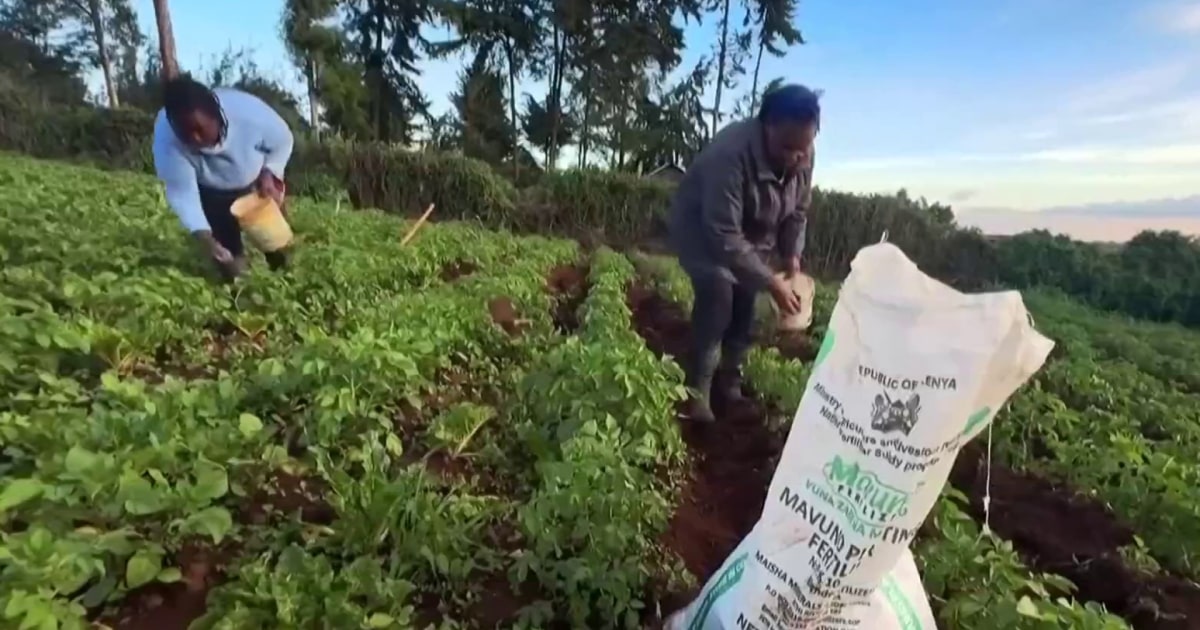 La guerra con Irán amenaza la cadena mundial de suministro de alimentos