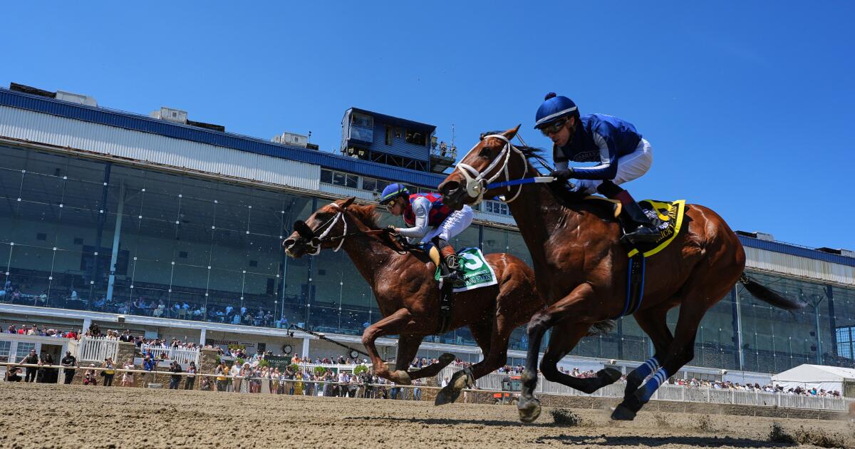 ¿A qué hora es el Preakness? Horarios de publicación, probabilidades de apuestas y más