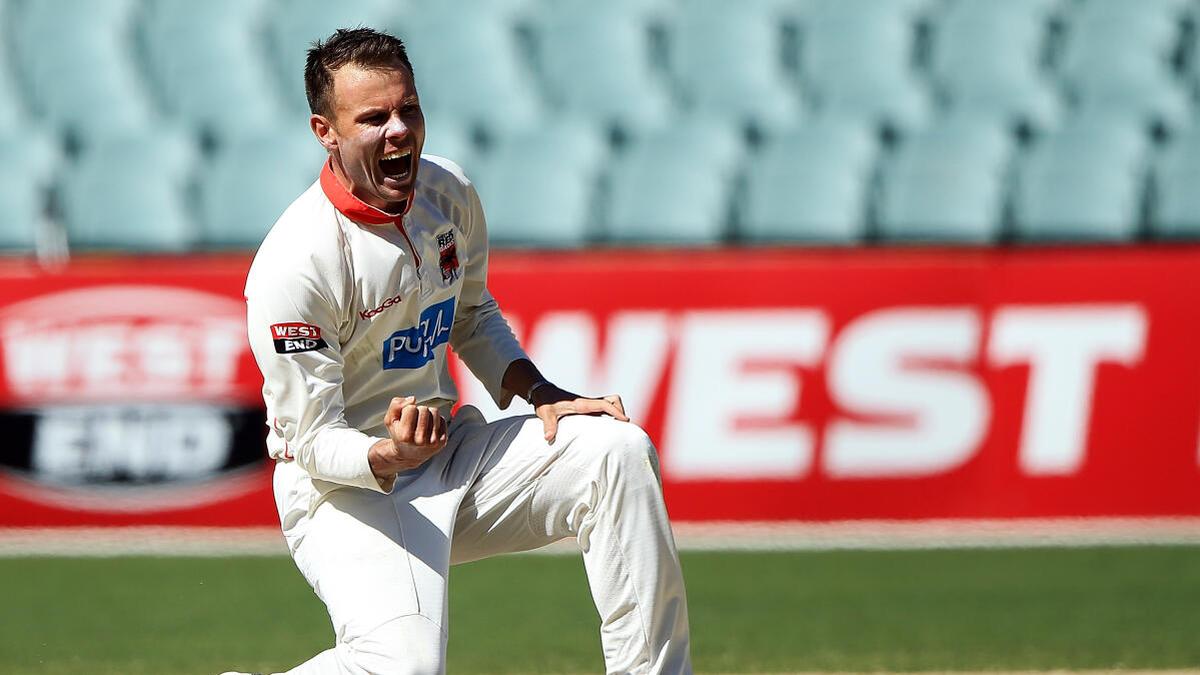 El sudafricano Johan Botha deja su puesto como entrenador de Queensland y Brisbane Heat