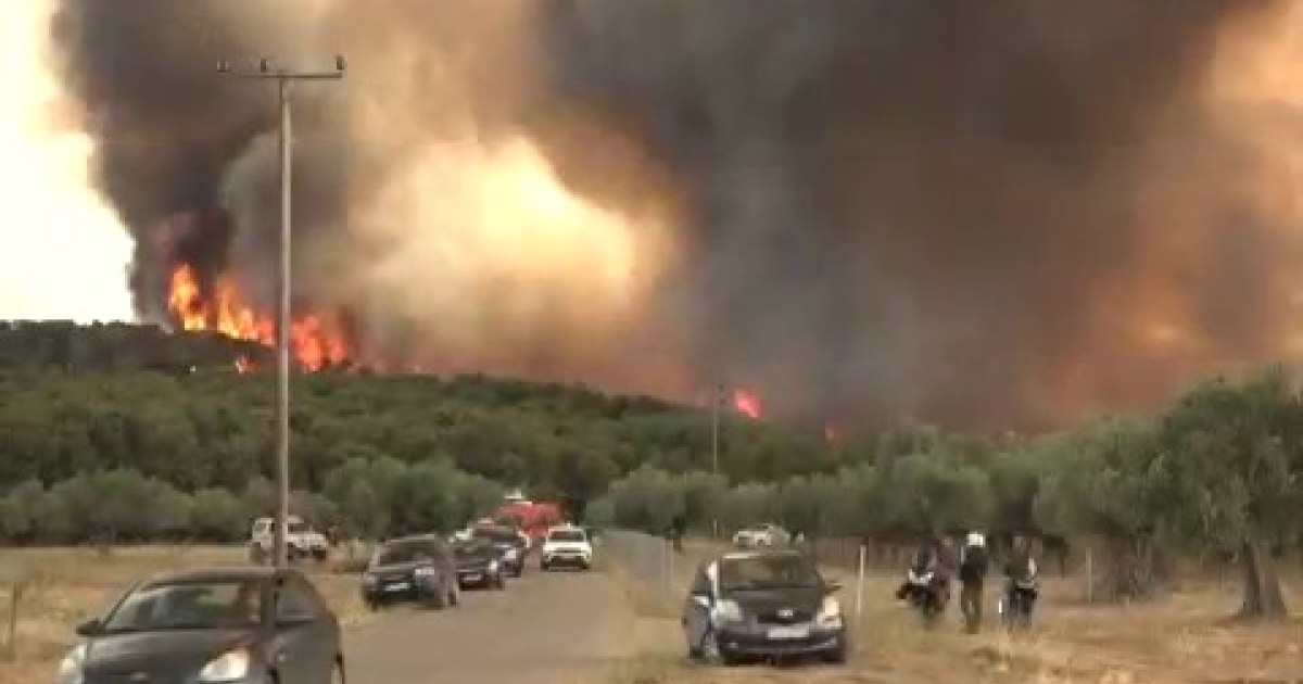Los bomberos combaten un incendio en el bosque de Fontainebleau en Francia, en medio de incendios mortales en toda Europa