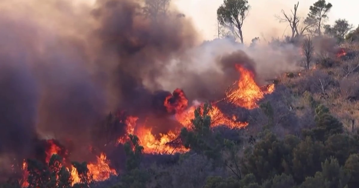 Sicilia lucha contra incendios forestales y resurge su historia de mafia provocando llamas