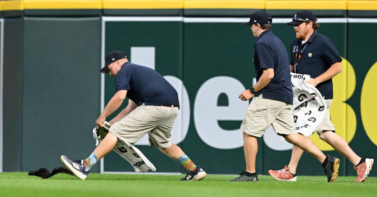 Ardilla lidera al equipo de tierra en una persecución épica durante el juego Orioles-Tigers