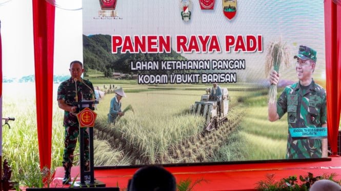 68838313af1d3-panglima-tni-jenderal-agus-subiyanto_665_374.jpg