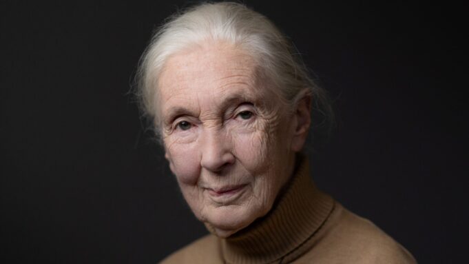 1001_janegoodall_header-scaled.jpg