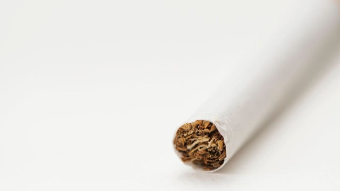 1760730570_676944f3eeeab-ilustrasi-rokok_665_374.jpg