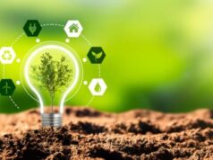 La electricidad microhidráulica y la energía solar pueden producir 11 toneladas de pescado y generar ingresos de 167 millones de IDR.