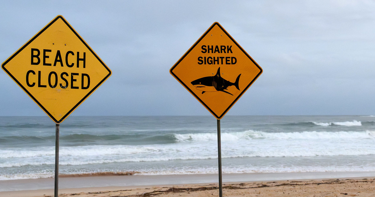 20260120-australia-beach-1247a-6e36da.jpg