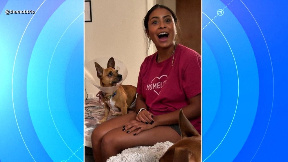 MIRAR: Momento viral de un chihuahua que escucha español le ayuda a encontrar un hogar