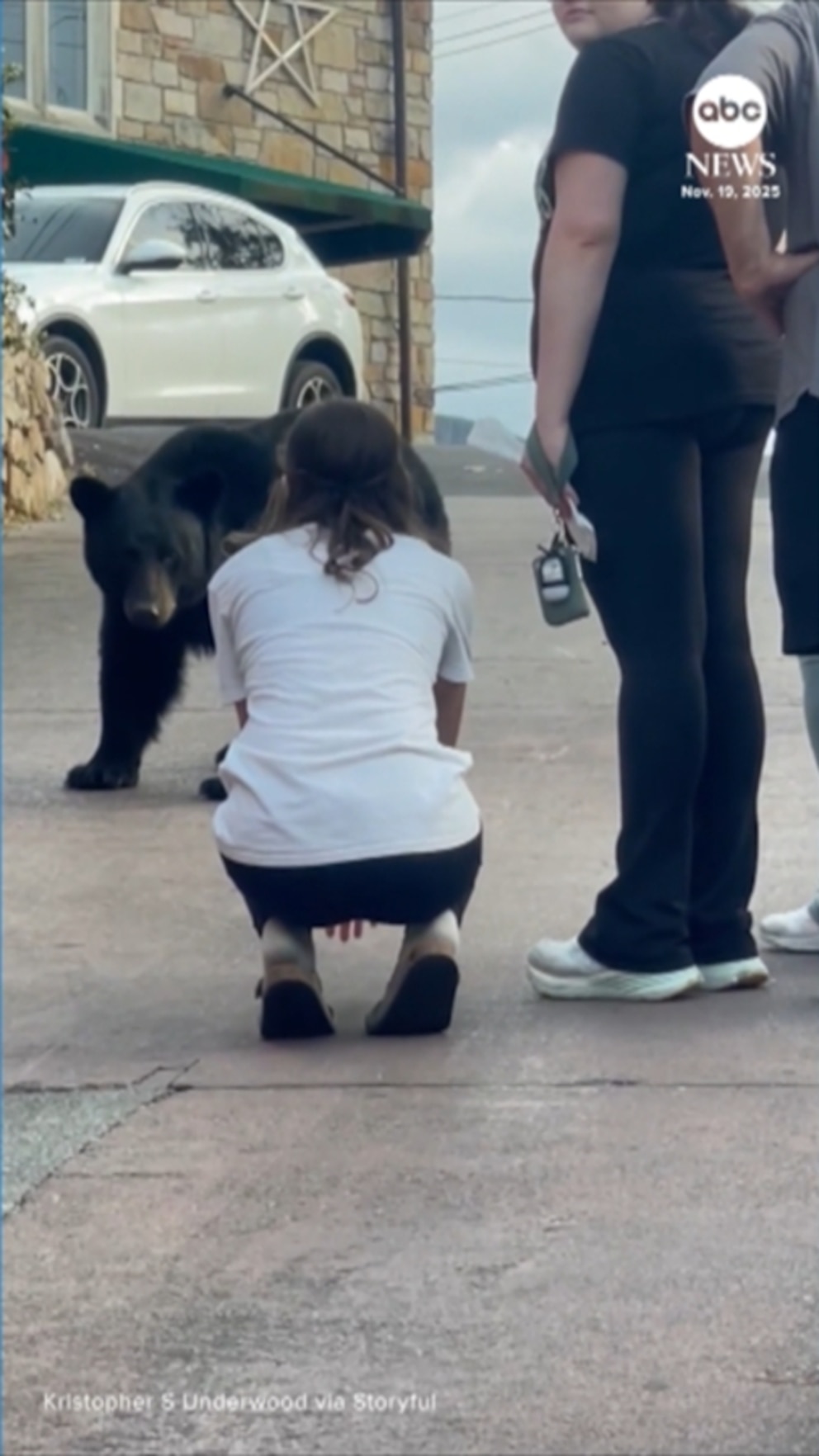 MIRAR: Mujer intenta acariciar y alimentar a un oso en Tennessee