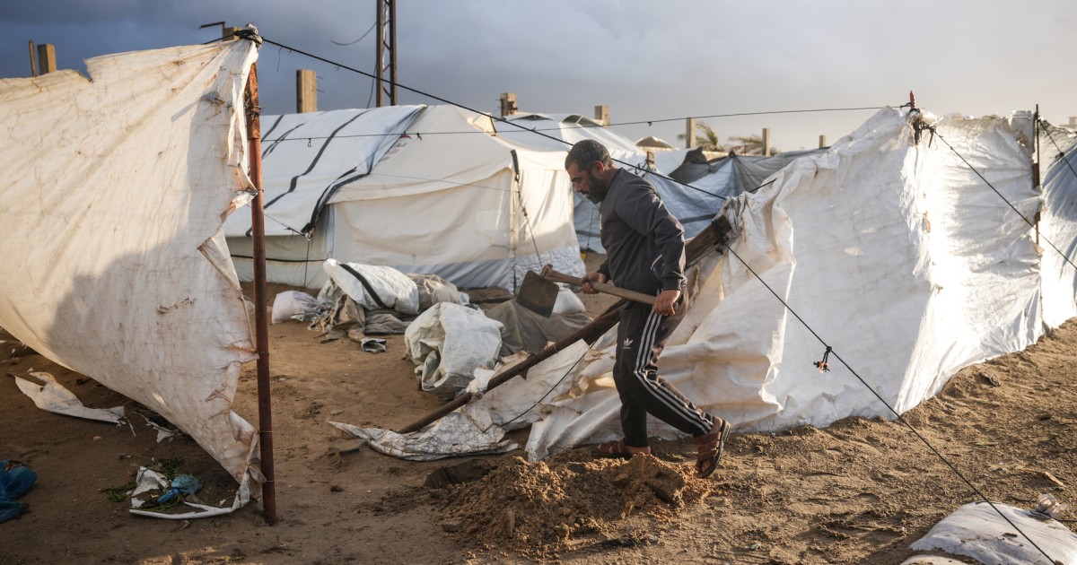 260111-gaza-vl-1019a-8511c1.jpg