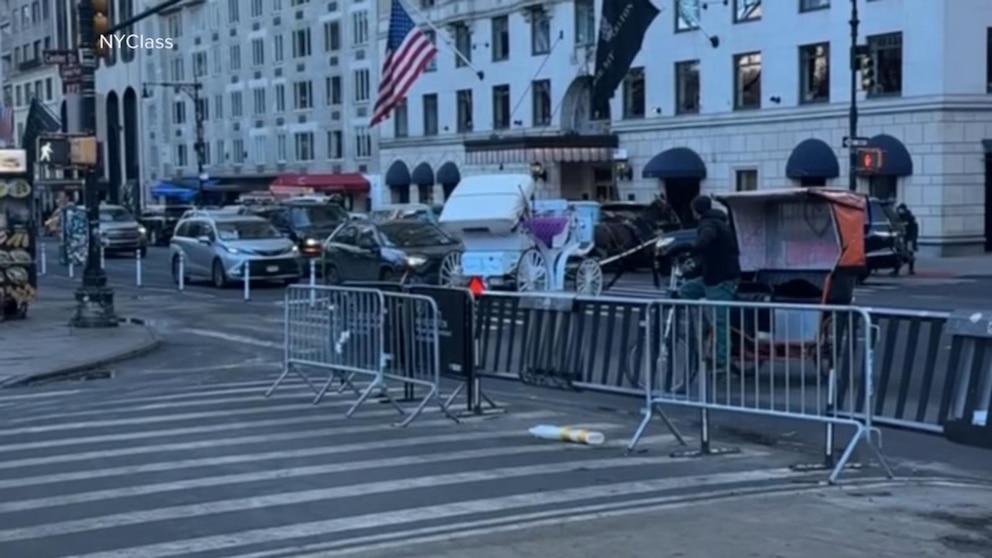 MIRA: Un carruaje de caballos sale de Central Park y recorre las calles de Nueva York