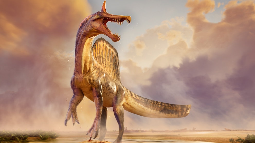 MIRAR: Los científicos descubren nuevas especies de dinosaurios del tamaño de un T-Rex